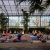 Greenhouse yoga Fairmount Park