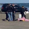 Sea Isle Dolphins