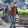 timothee chalamet bob dylan film cape may