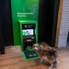 dog atm td bank