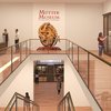 Rendering of Mutter Museum renovations