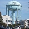 Sea Isle Shark Ban