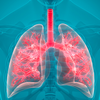 American Lung Association lung health tips