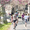 Schuylkill River Trail