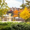 Urban parks elevate mood 