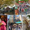 Fall FEstivals