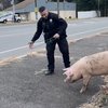 Deptford Pig Police