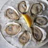 Oyster fest return