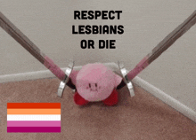 a stuffed kirby holding two swords with the words respect lesbians or die above him