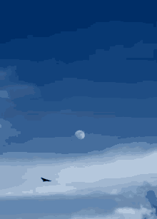 a bird flies in front of a full moon in a cloudy blue sky