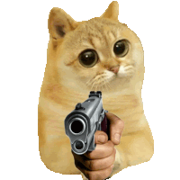 a cat is pointing a gun at someone