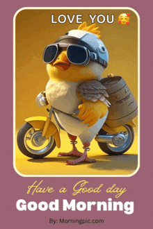 a cartoon chicken wearing a helmet and goggles is riding a motorcycle