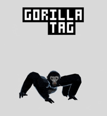 a picture of a gorilla with the words gorilla tag behind it