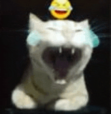 a cat is yawning with a smiley face on top of it .