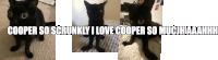 three pictures of a black cat with the caption " cooper so scrunky i love cooper so muchaaahhh "