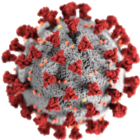 a close up of a virus with red spots