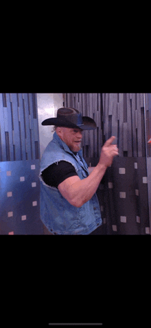 a man wearing a cowboy hat and a denim vest is standing in front of a wall