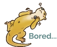 a cartoon of an otter laying on its back with the words bored below it