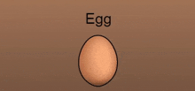 a brown egg is on a brown background with the word egg written on it .