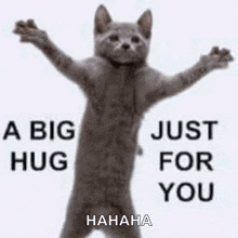 a cat is standing with its arms outstretched and a big hug just for you .