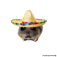 a hamster wearing a sombrero and maracas with the hashtag hammycommunity