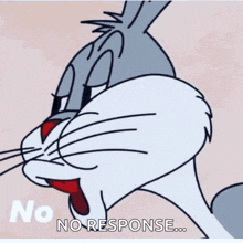 bugs bunny from the looney tunes show says no response