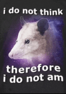 a picture of an opossum with the words " i do not think therefore i do not am " below it