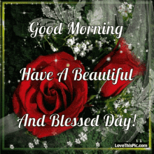 a good morning have a beautiful and blessed day greeting card with red roses