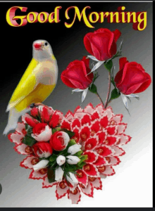 a good morning card with flowers and a bird on it