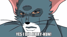 a cartoon of a cat with a mask on its face and the words `` yes i did jerry-kun '' written below it .