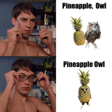 a shirtless man adjusts his glasses next to a pineapple and an owl