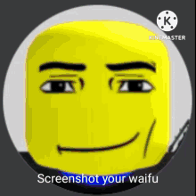 a screenshot of a yellow face with black eyebrows and the words screenshot your waifu