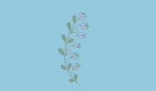 a drawing of flowers on a blue background