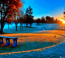 the sun shines brightly through the trees and a bench in the foreground