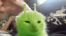 a green cat with ears is sitting next to a man .