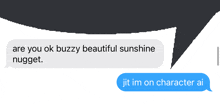 a text message that says " are you ok buzzy beautiful sunshine nugget jit im on character ai "