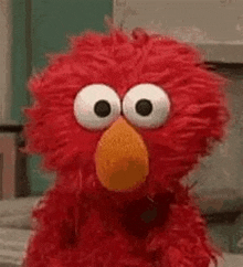 elmo from sesame street is looking at the camera with a surprised look on his face .