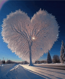 a heart shaped tree in the snow with the sun shining through the branches