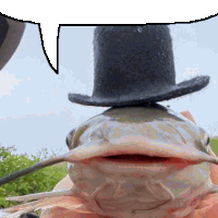 a fish wearing a black top hat with a speech bubble above it