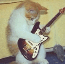 a cat is sitting on a couch playing a guitar .