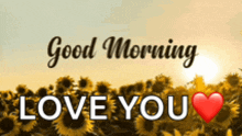 a picture of a field of sunflowers with the words `` good morning love you '' written on it .