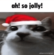 a cat wearing a santa hat with the words `` ah ! so jolly '' written above it .