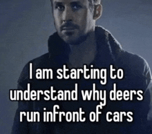 a picture of a man with the words i am starting to understand why deers run infront of cars