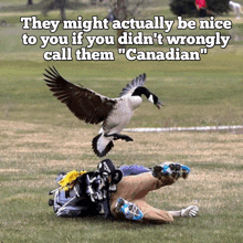 a picture of a goose flying over a golfer with the caption " they might actually be nice to you