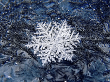 a snowflake is floating in the water on a shiny surface