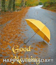 a yellow umbrella is sitting on the side of a road with the words good wednesday written below it