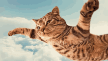 a cat is flying through a cloudy sky with its paws outstretched