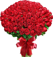 a large bouquet of red roses with a red ribbon