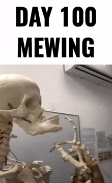 a picture of a skeleton next to a sign that says " day 100 mewing "