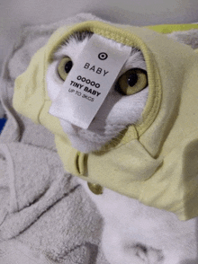 a cat wearing a yellow shirt with a baby label on it